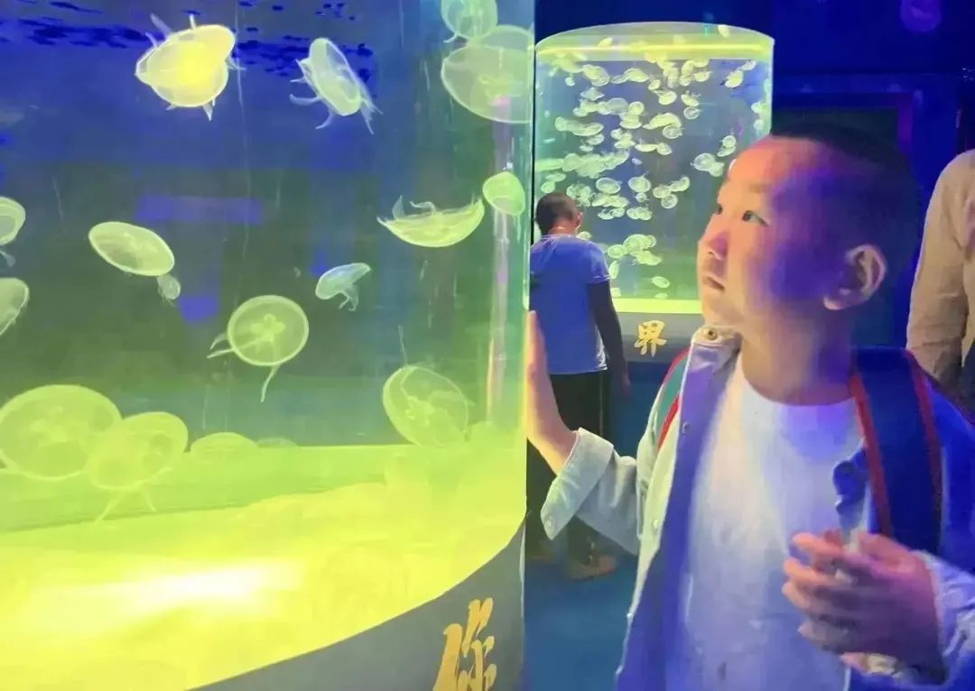 微信图片_20230515091429.jpg