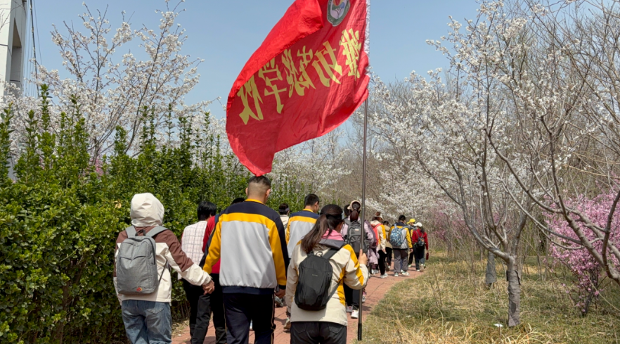 1762916803226239.png image.png