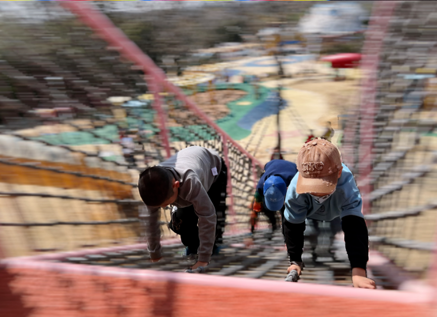 1762916858603537.png image.png