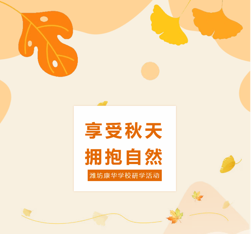 1773024268656869.png image.png